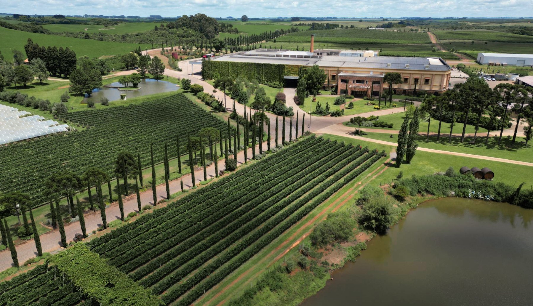 Vista aérea da Vinícola Campestre, com os vinhedos, a alameda de ciprestes e o lago